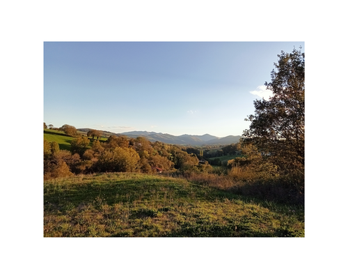 paysage_label ecocert kalamu-pays-basque