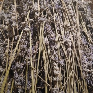 Huile de massage Izpiliku pour les pros